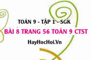 Bài 8 trang 56 Toán 9 tập 1 Chân trời sáng tạo